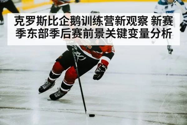 ice hockey player skating puck