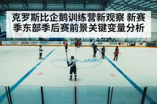 ice hockey arena game